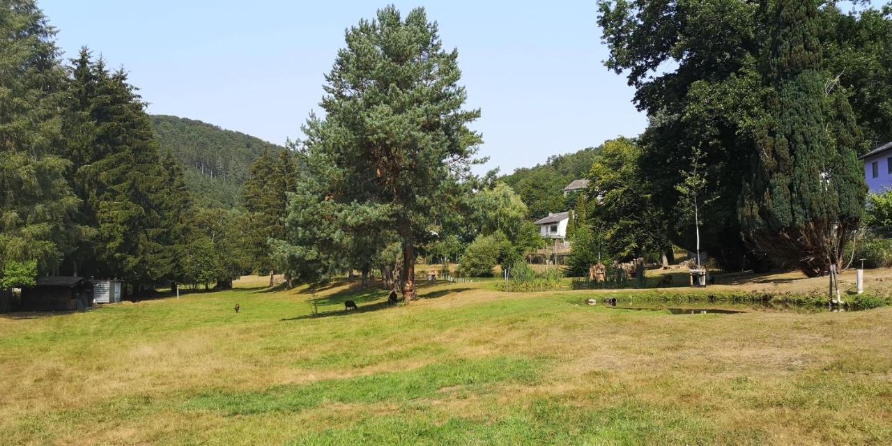 Ferienhaus Kylltal Villa Zemmer Luaran gambar