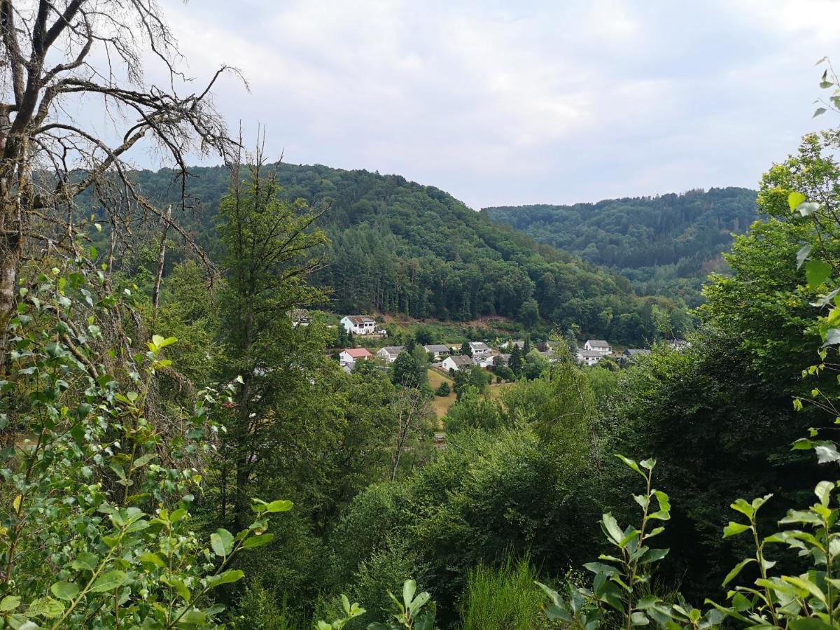 Ferienhaus Kylltal Villa Zemmer Luaran gambar